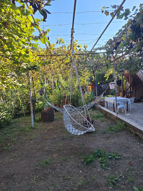 🏡 იყიდება ორსართულიანი კაპიტალური სახლი გურჯაანში!