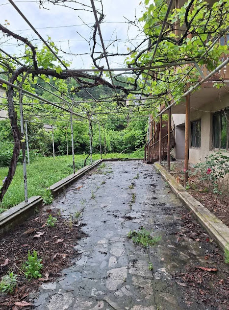 🏡 იყიდება ორსართულიანი კაპიტალური სახლი გურჯაანში!