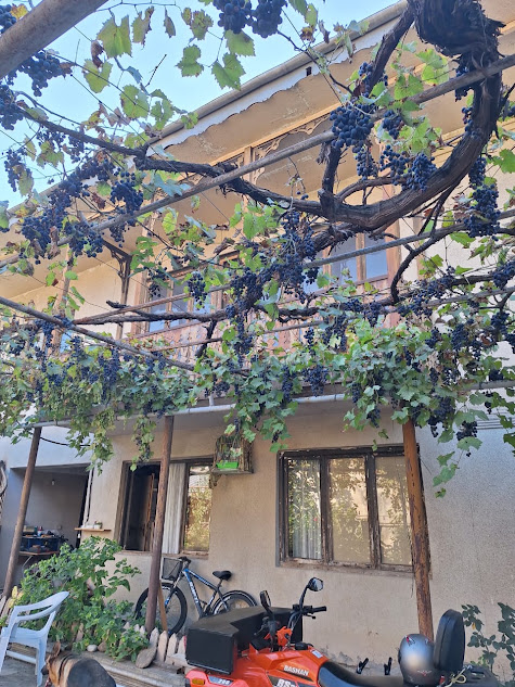 🏡 იყიდება ორსართულიანი კაპიტალური სახლი გურჯაანში!